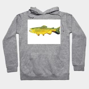 Brown trout fish Hoodie